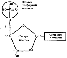 Врача