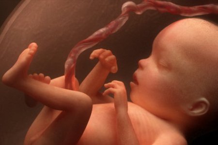 система питания худеем за неделю система питания худеем за неделю