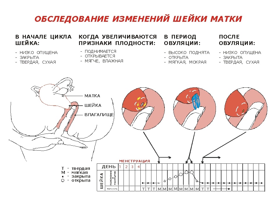 Ваша совместимость имен, а также знаков имён в любви и браке Безопасные способы отбеливания зубов в домашних условиях