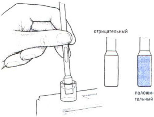 Тест на беременность народный средствами